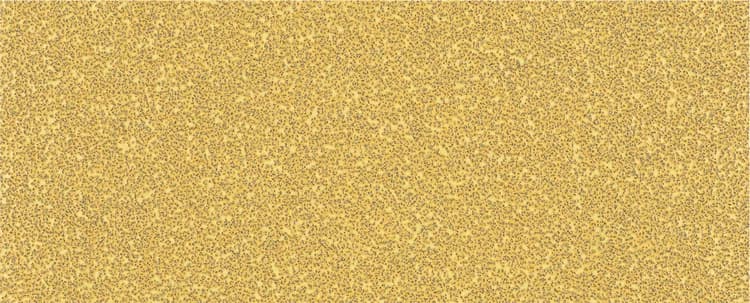 بوش EXPERT C470 Sandpaper with no holes for Orbital Sanders 93 x 230 mm, G 40 10-pc ورق صنفرة — EXPERT C470 Sandpaper with no holes for Orbital Sanders 93 x 230 mm, G 40 10-pc