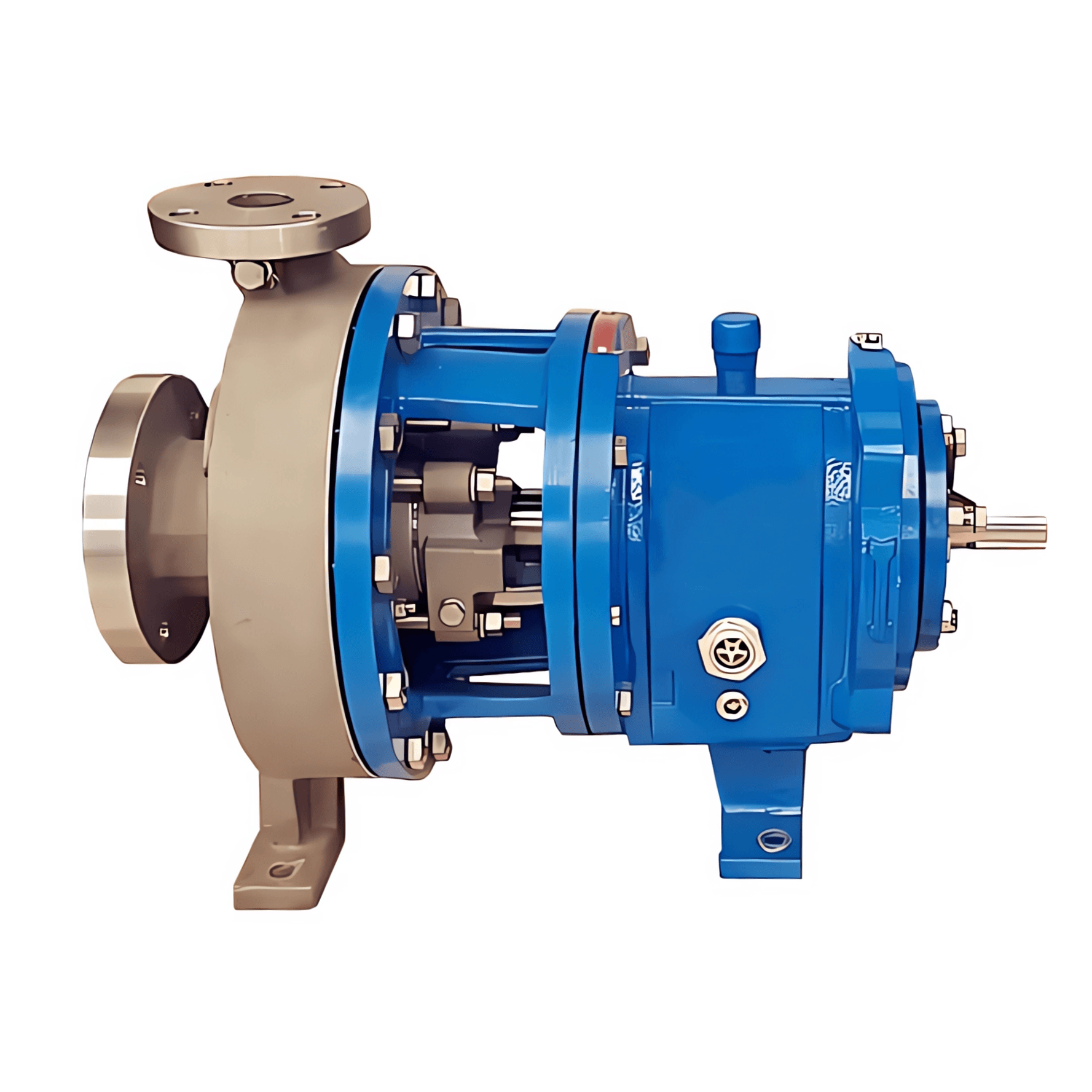 Flowserve BJ-10-300-GATE – Gate Valve