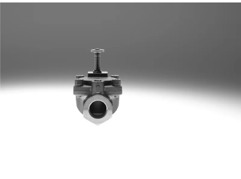 Festo VZWM-L-M22C-G1-F4 Process Valve