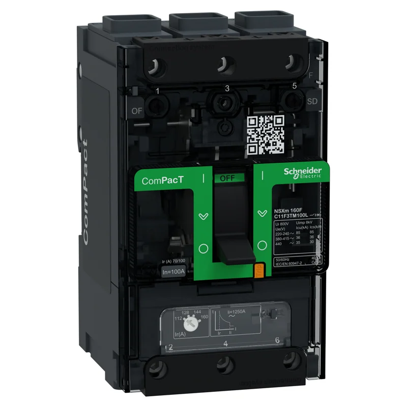 Schneider Electric C11F3TM100L