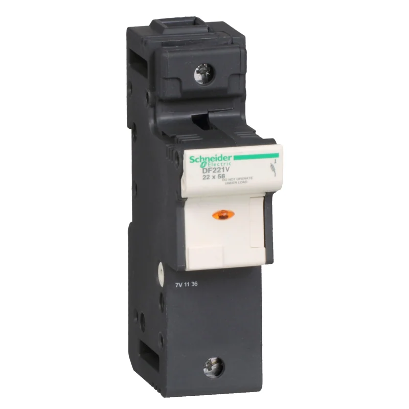 Schneider Electric DF221V