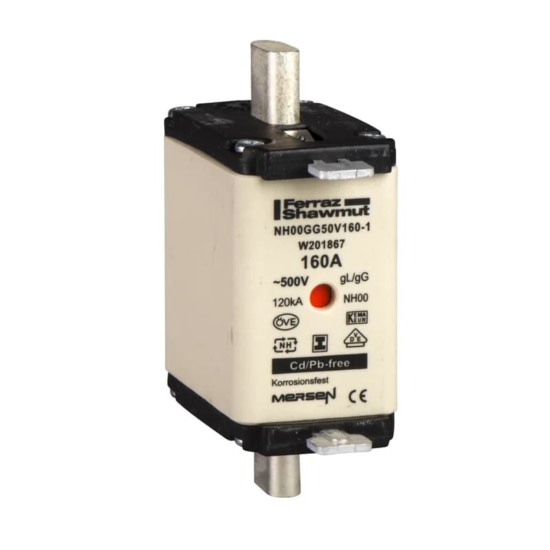 Schneider Electric DF2GN1161