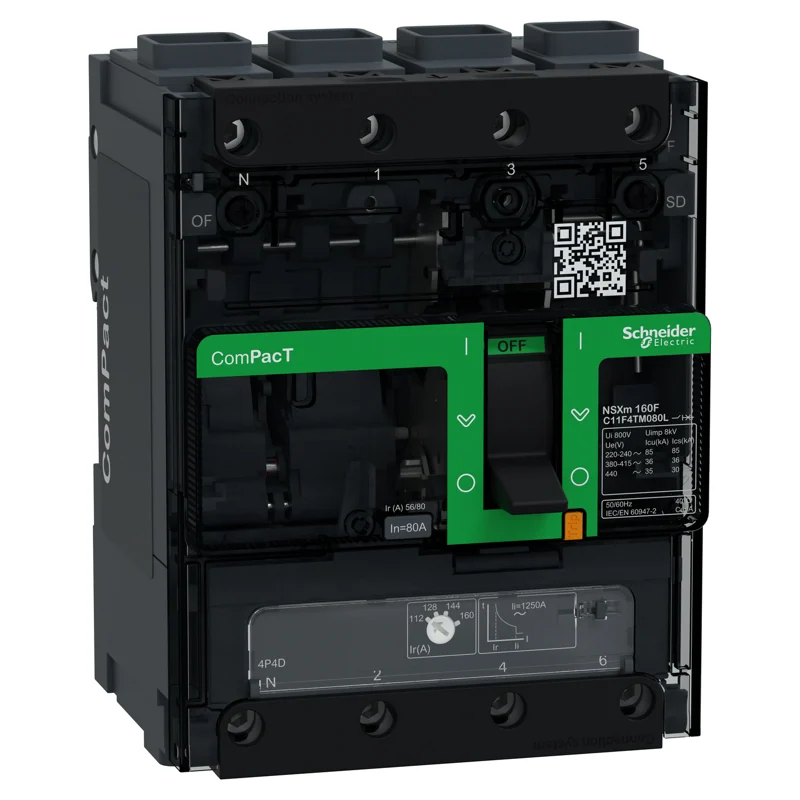 Schneider Electric C11F4TM100L
