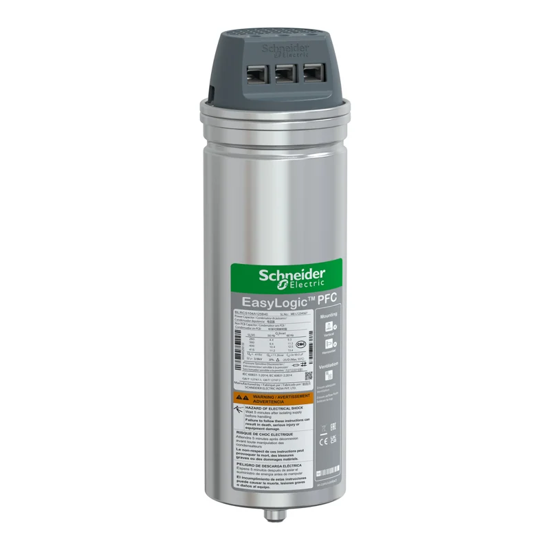 Schneider Electric BLRCS104A125B40