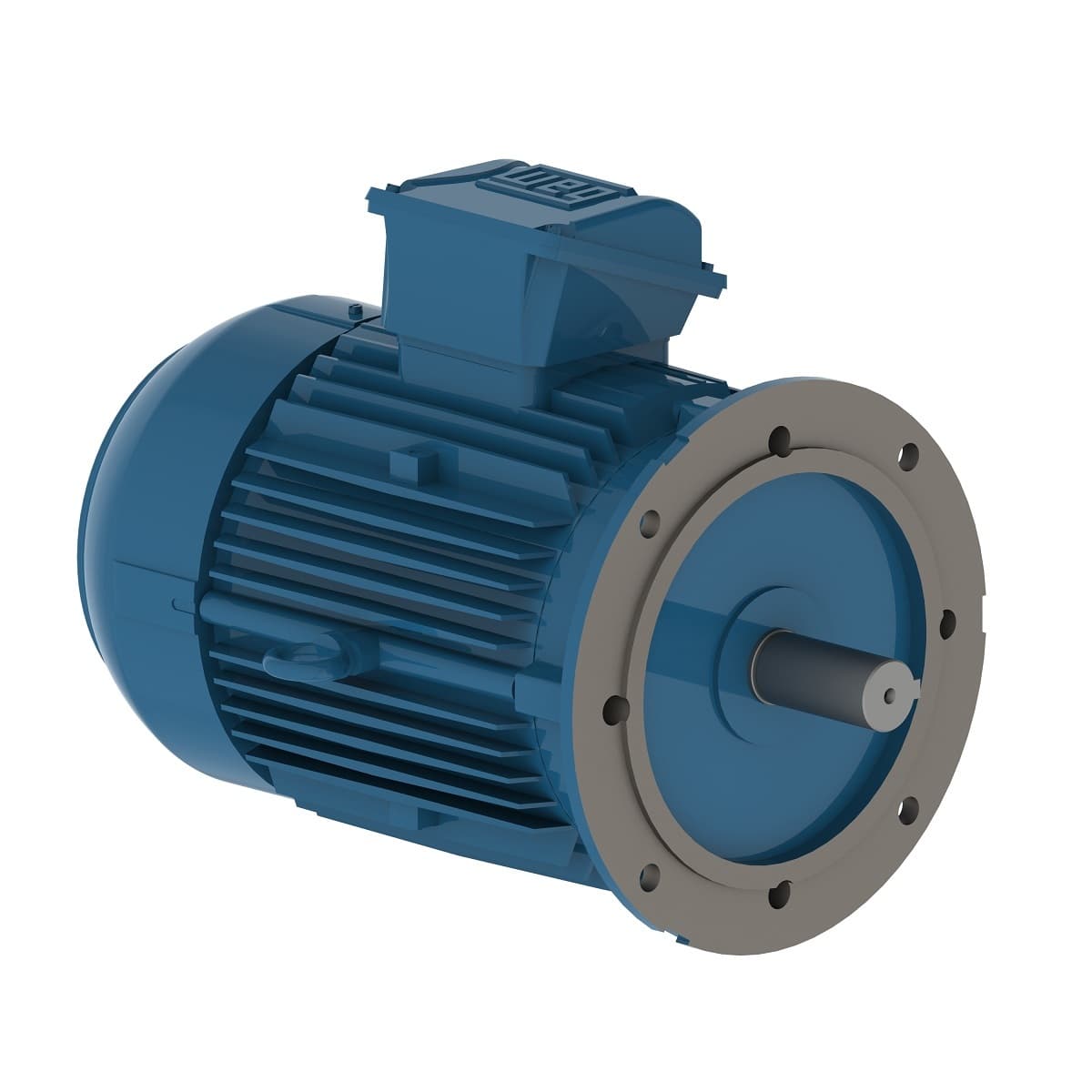 محرك أحادي الطور ويج W22 100L 1.1 كيلوواط — W22 100L 1PH 1.1kW