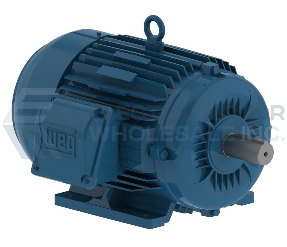 WEG WMAGNET Permanent Magnet Synchronous Motor — WMAGNET 55kW