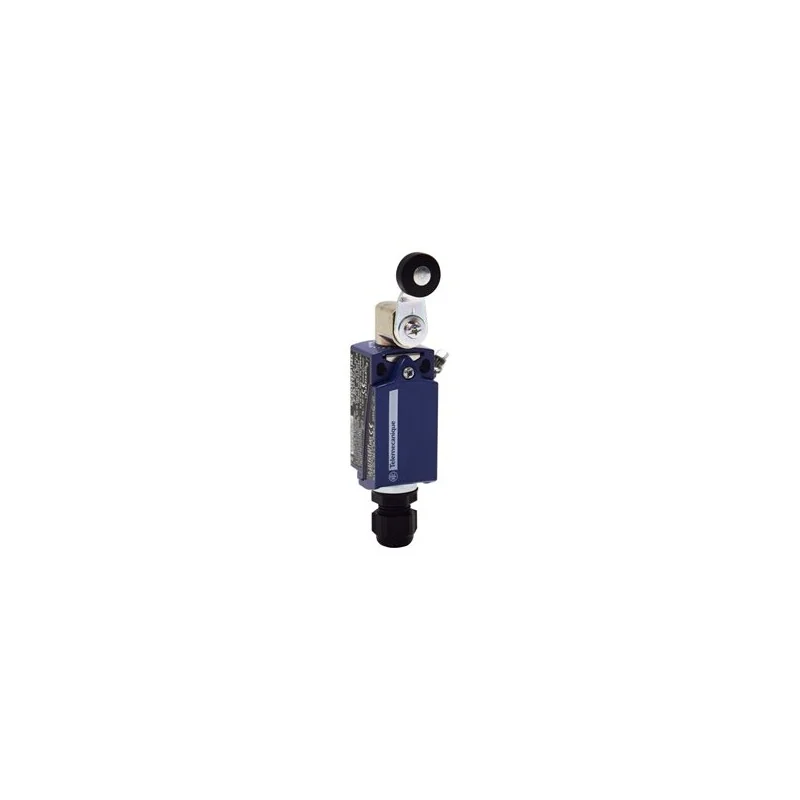 Schneider Electric XCKD3918P16EX