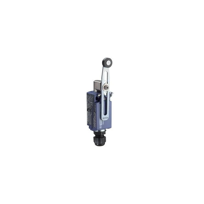 Schneider Electric XCKD3945P16EX