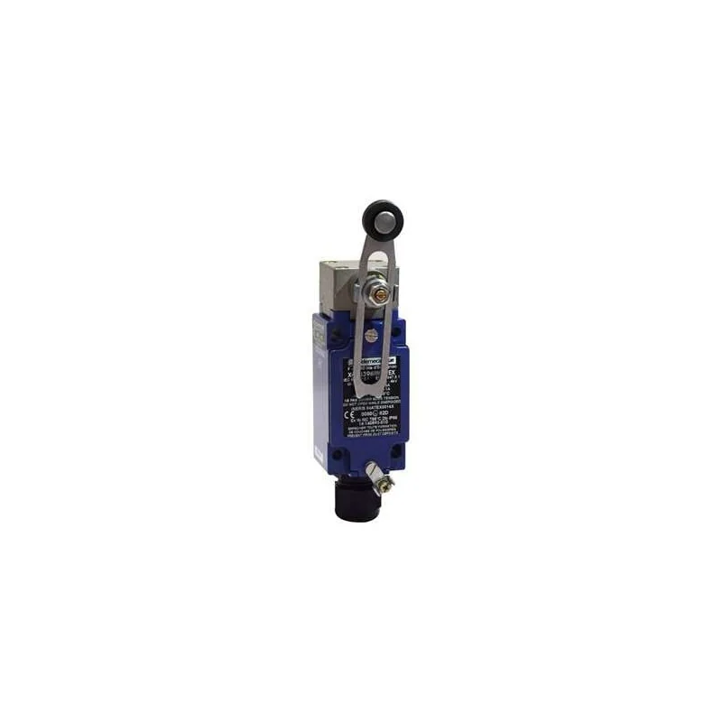 Schneider Electric XCKJ390541H29EX