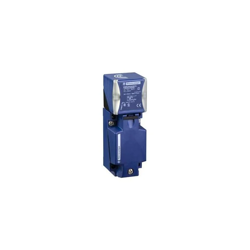 Schneider Electric XS9C4A2A2G13