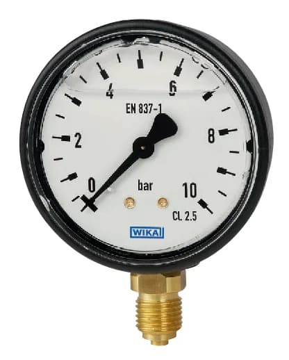 WIKA 113.13 Pressure Gauge NS50 0-60 bar — 113.13