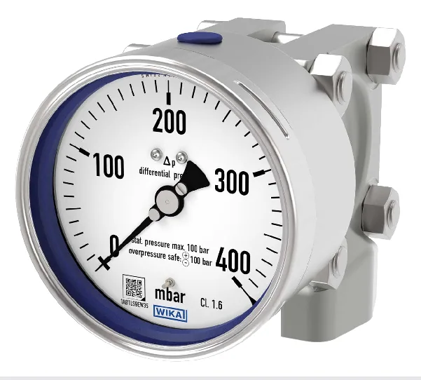 WIKA 732.14 Pressure Gauge NS100 0-0.6 bar — 732.14