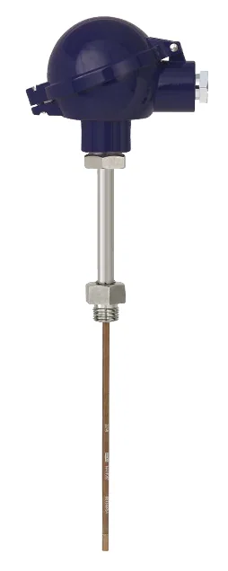 WIKA TR10-B RTD Thermometer — TR10-B